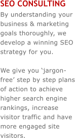 SEO CONSULTING By understanding your business & marketing goals thoroughly, we develop a winning SEO strategy for you.   We give you �jargon-free� step by step plans of action to achieve higher search engine rankings, increase visitor traffic and have more engaged site visitors.