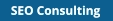 SEO Consultants