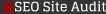 SEO Site Audit