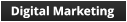 digital marketing campaigns